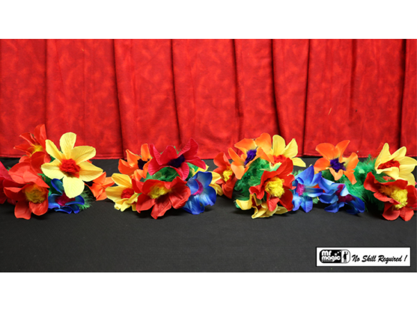 Production Hank with Four Bouquets by Mr. Magic