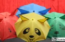 Umbrellas from Handkerchief by Mr. Magic - Trick – Image 1
