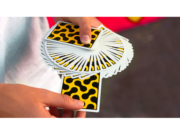 Cheetah Playing Cards by Gemini