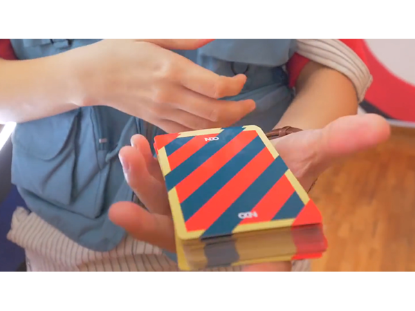 Broken Boarders 2019 Playing Cards by The New Deck Order