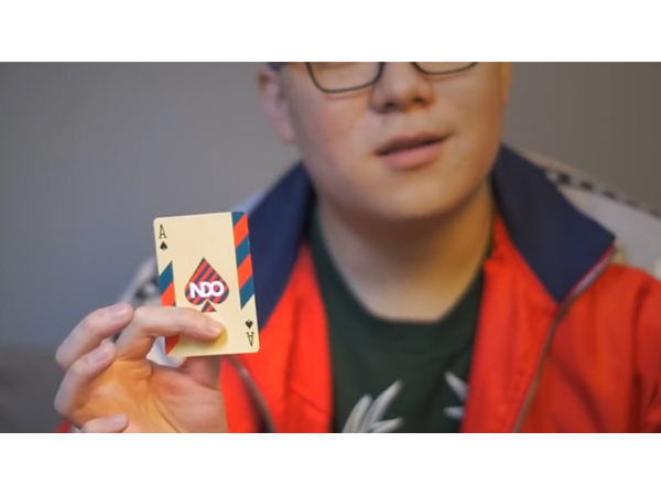 Broken Boarders 2019 Playing Cards by The New Deck Order