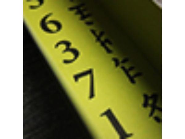 Chinese Prediction (Green) by Chris Kenworthey