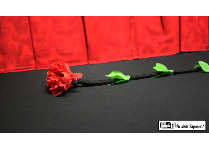 Fresh Flower by Mr. Magic - Trick
