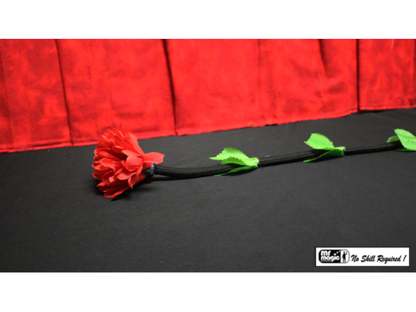 Fresh Flower by Mr. Magic - Trick
