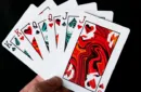 FLUID-2019 Edition Playing Cards By CardCutz – Bild 5