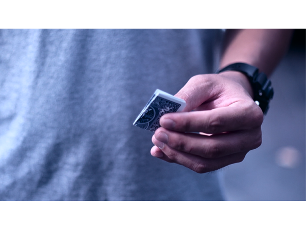 Vanishing Piece (Gimmicks and Online Instructions) by Zihu