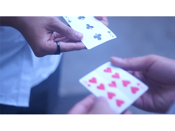 Vanishing Piece (Gimmicks and Online Instructions) by Zihu