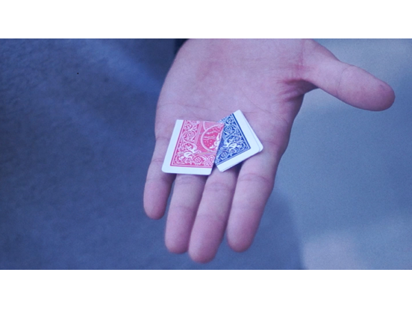 Vanishing Piece (Gimmicks and Online Instructions) by Zihu