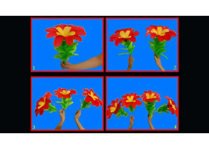 Changing Flowers (1/4) by Black Magic