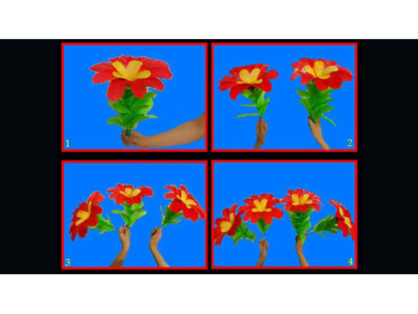 Changing Flowers (1/4) by Black Magic