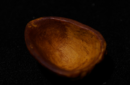 Httpswww magicshop chmediacatalogproductsisimple sjdeluxmagthreeshell 4 png