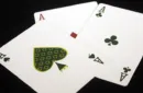 Expert At The Card Table (White) Playing Cards – Image 5