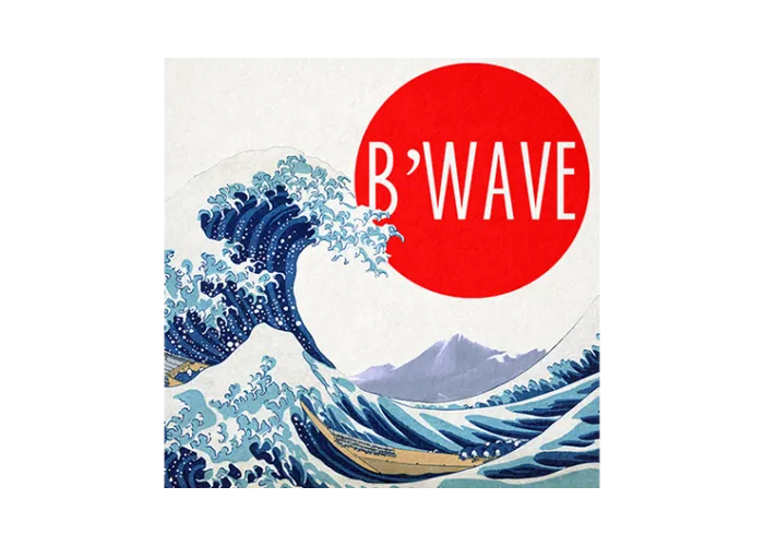 B'Wave DELUXE by Max Maven (Gimmicks and Online Instructions) - Trick