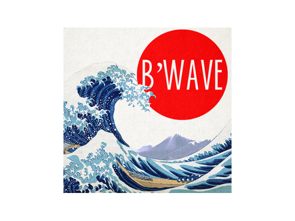 B'Wave DELUXE by Max Maven (Gimmicks and Online Instructions) - Trick