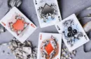 Discovery Final Frontier (Red) Playing Cards by Elephant Playing Cards – Image 3