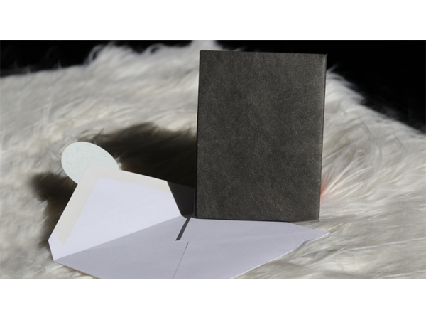 Number 4 Envelope (Gimmicks and Online Instructions) by Blake Vogt