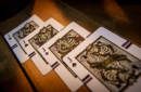 Httpswww magicshop chmediacatalogproductsisimple cardsskel 10 png