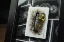Skymember Presents Ancient Egypt Playing Cards by Calvin Liew and Arise Art Studio – Bild 5
