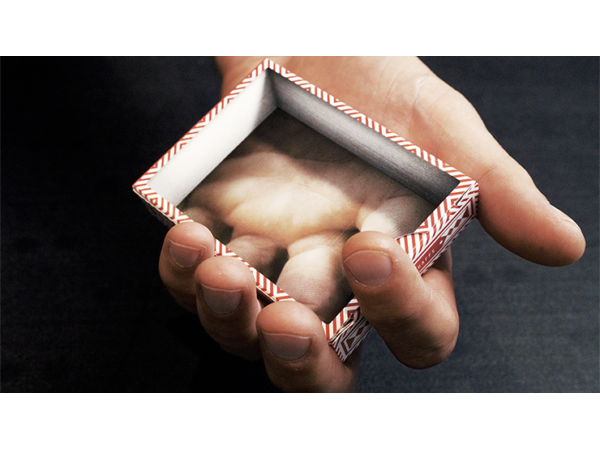 Visualies Gaff System (Gimmicks and Online Instructions) by Mechanic Industries