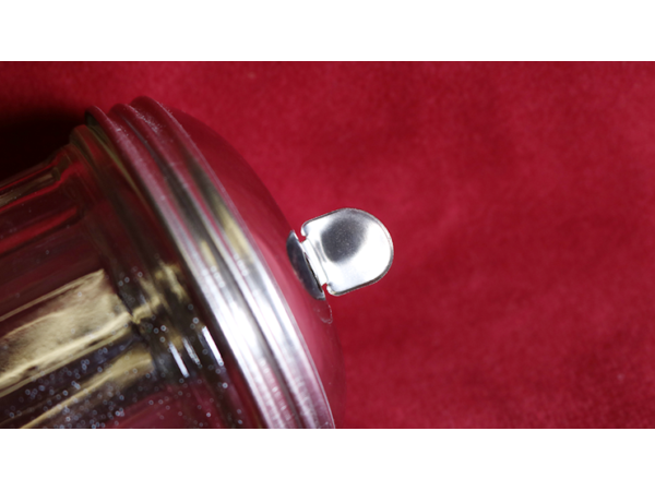 Sugar Short by Steve Dick