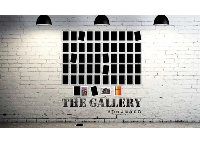 The Gallery (Gimmicks and Online Instructions) by Marc Spelmann