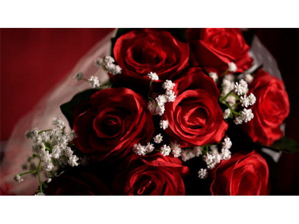 The Bouquet (Red) by Bond Lee & MS Magic