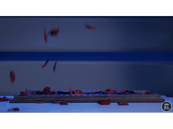 Visual Matrix AKA Rose Act Valorous Silver (Gimmick and Online Instructions) by Will Tsai and SansMinds