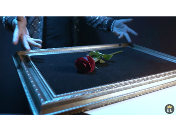 Visual Matrix AKA Rose Act Valorous Silver (Gimmick and Online Instructions) by Will Tsai and SansMinds