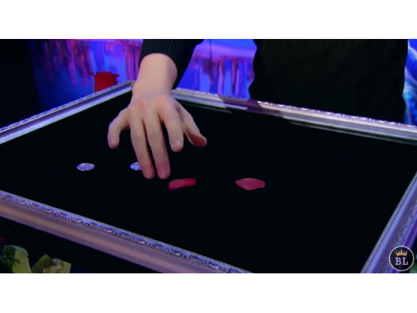 Visual Matrix AKA Rose Act Valorous Silver (Gimmick and Online Instructions) by Will Tsai and SansMinds