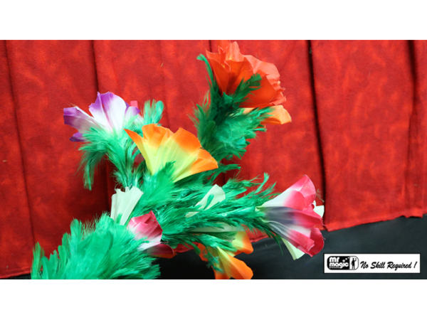 Giant Feather Fantasy by Mr. Magic