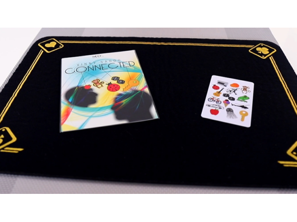 CONNECTED by Vinny Sagoo