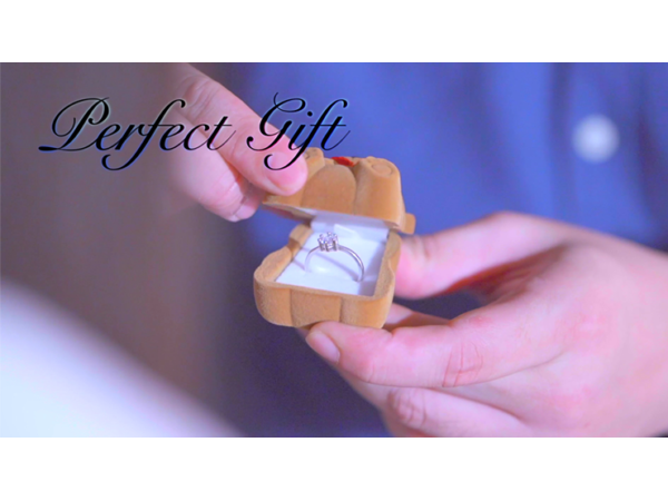 TEDDY (Red) by Zamm Wong & Magic Action