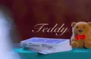 TEDDY (Red) by Zamm Wong & Magic Action – Bild 1