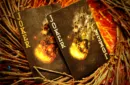 Bicycle Asteroid Playing Cards by US Playing Card – Image 3