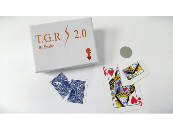 Together 2.0 (Blue) by Snake