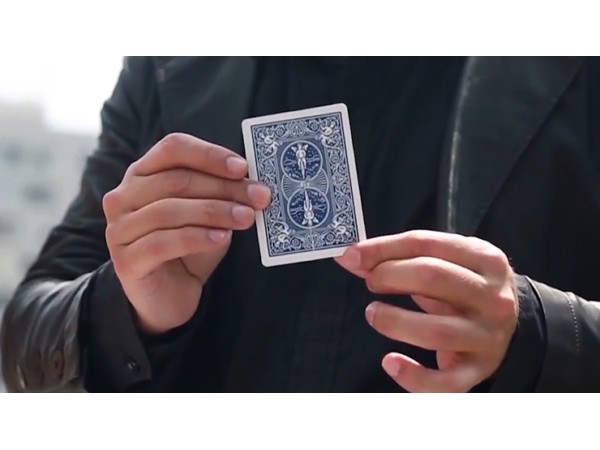 Together 2.0 (Blue) by Snake