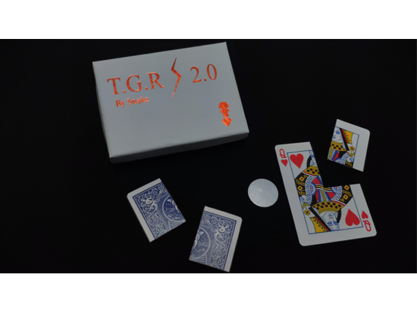 Together 2.0 (Blue) by Snake