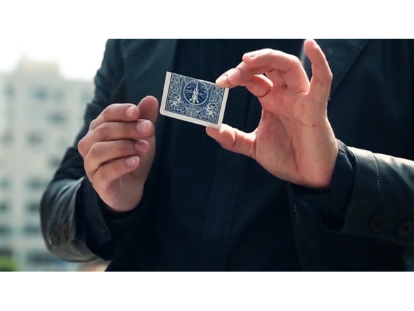 Together 2.0 (Blue) by Snake