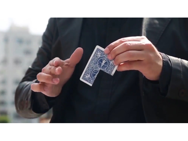 Together 2.0 (Blue) by Snake