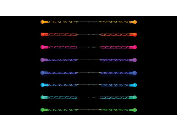 Wandini by Fun in Motion - Trick