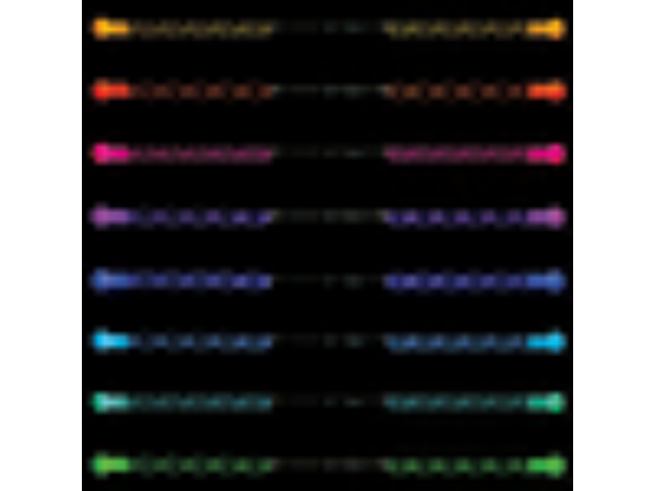 Wandini by Fun in Motion - Trick