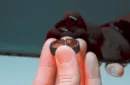 Ambi Ring Black by Patrick Kun – Image 3