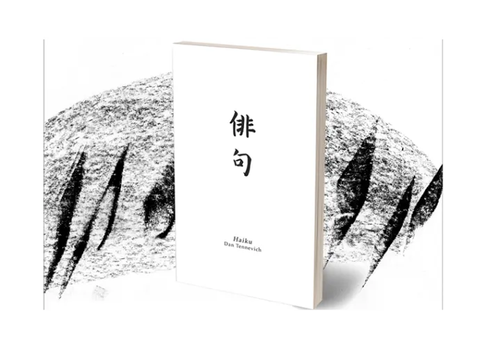 Haiku Book Test 2.0 by Vincent Hedan