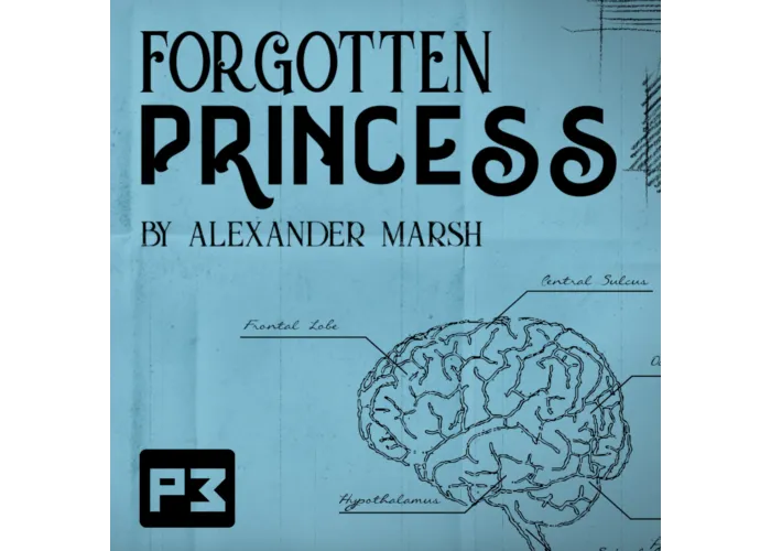 Forgotten Princess by Alexander Marsh