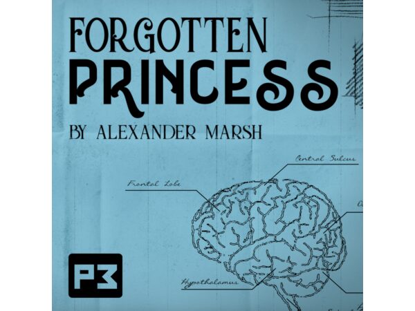 Forgotten Princess by Alexander Marsh