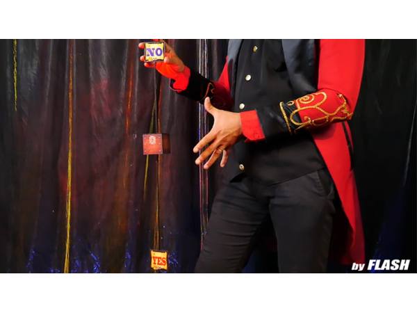 SMART BOX (Gimmicks and Online Instructions) by Mago Flash