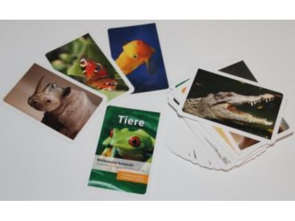 Foto-Forcierkartenset "Bildimpulse Tiere" Einzelverpackung