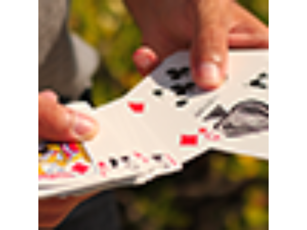 Bicycle Inspire (Blue) Playing Cards