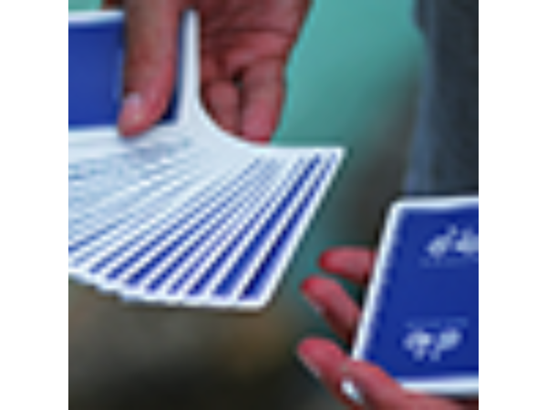 Bicycle Inspire (Blue) Playing Cards