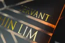 SERVANTE (Gimmicks and Online Instructions) by Shin Lim – Image 2